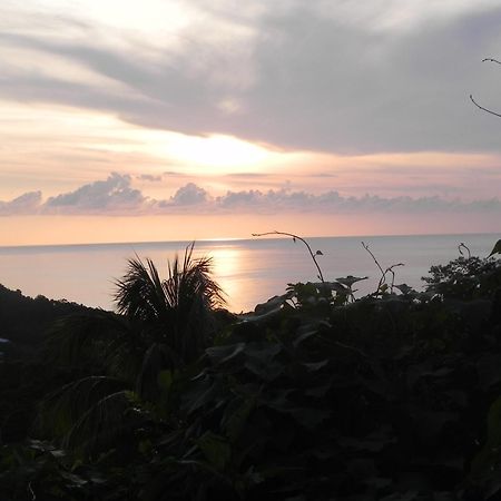 Villa Mielecajou, Entre Mer Et Montagne Deshaies Bagian luar foto