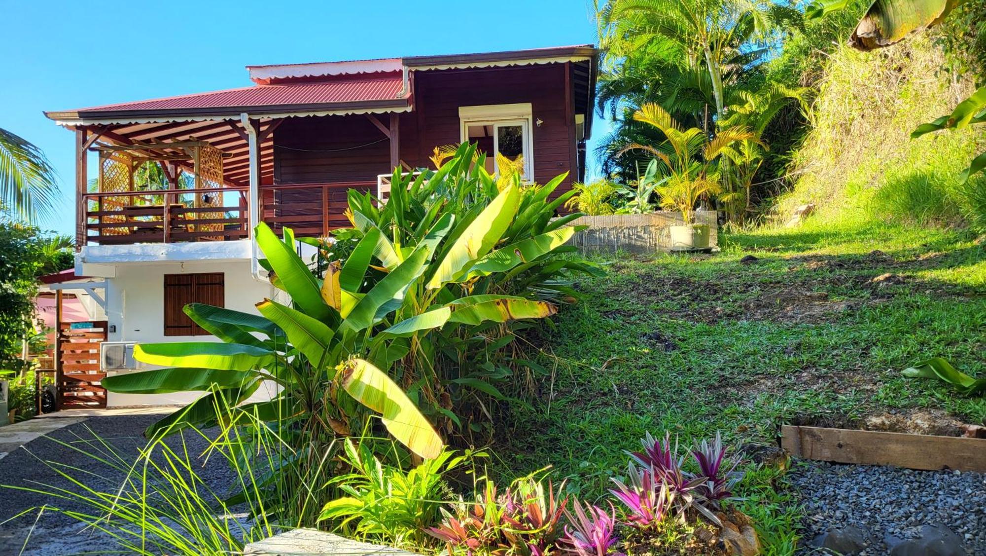 Villa Mielecajou, Entre Mer Et Montagne Deshaies Bagian luar foto