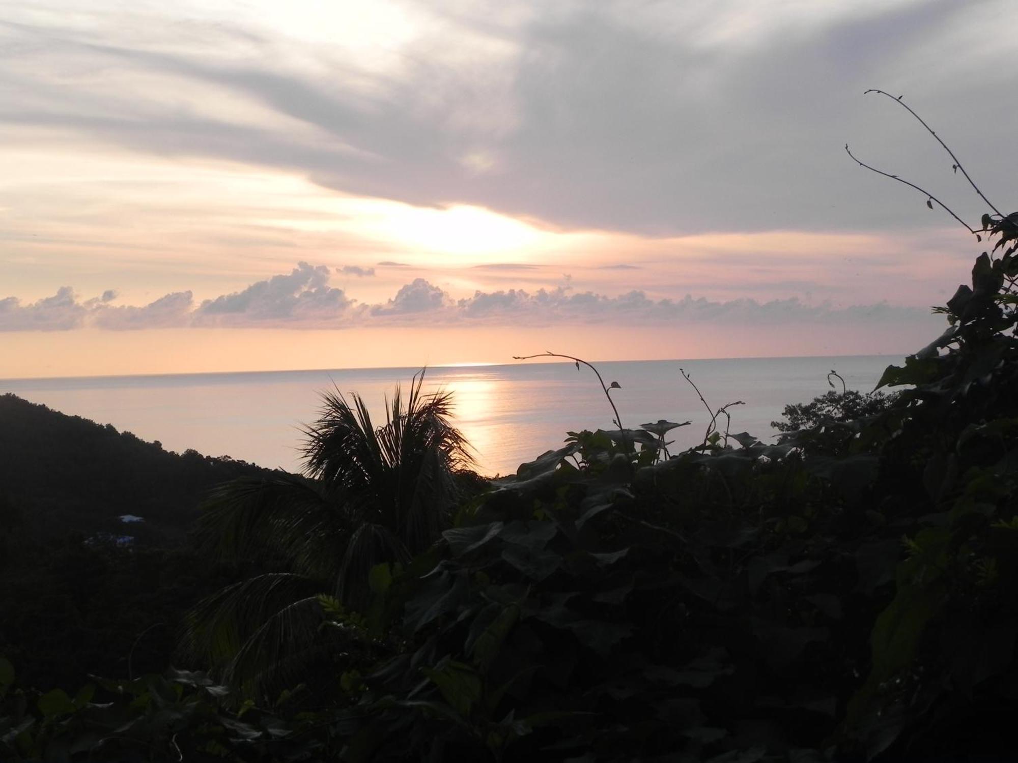 Villa Mielecajou, Entre Mer Et Montagne Deshaies Bagian luar foto