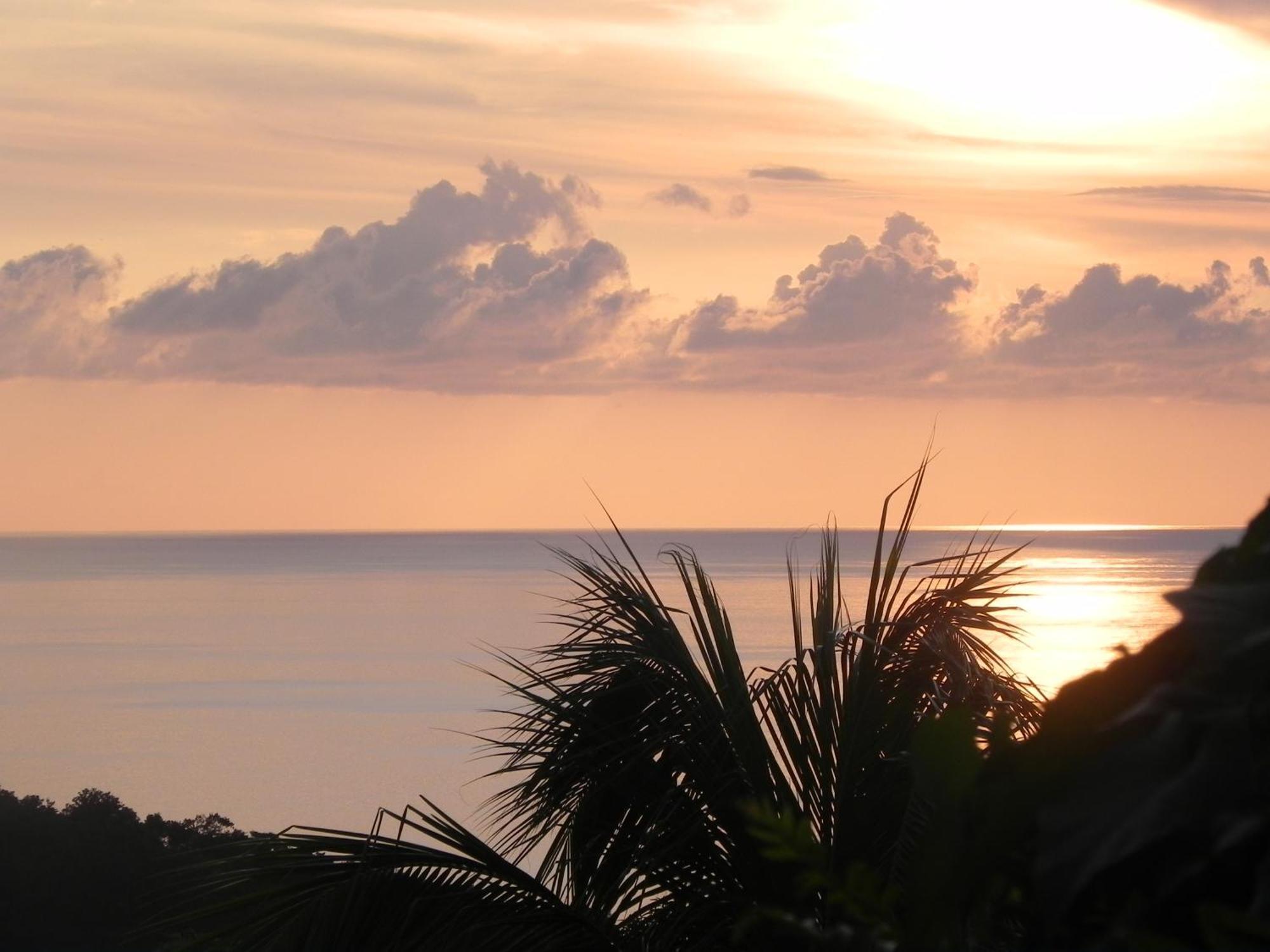 Villa Mielecajou, Entre Mer Et Montagne Deshaies Bagian luar foto
