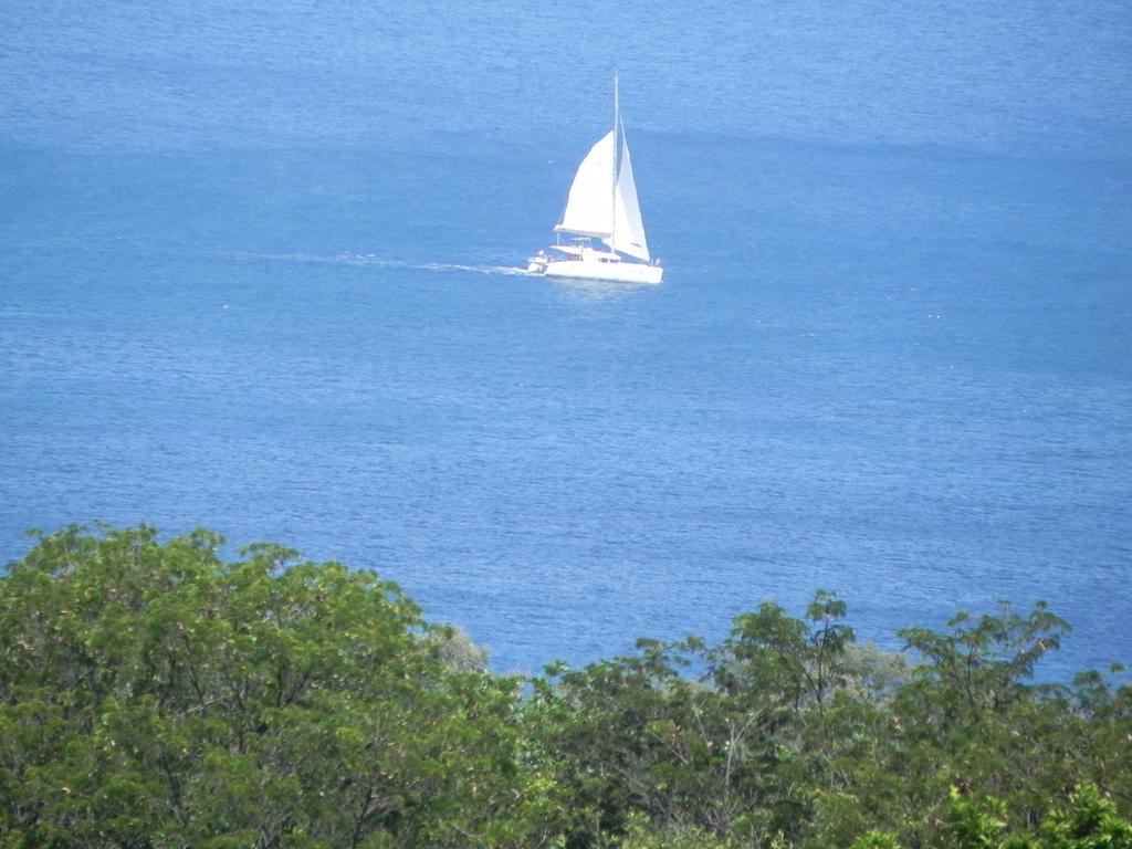Villa Mielecajou, Entre Mer Et Montagne Deshaies Bagian luar foto