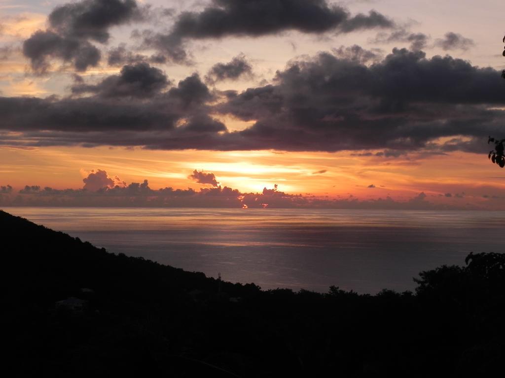 Villa Mielecajou, Entre Mer Et Montagne Deshaies Bagian luar foto