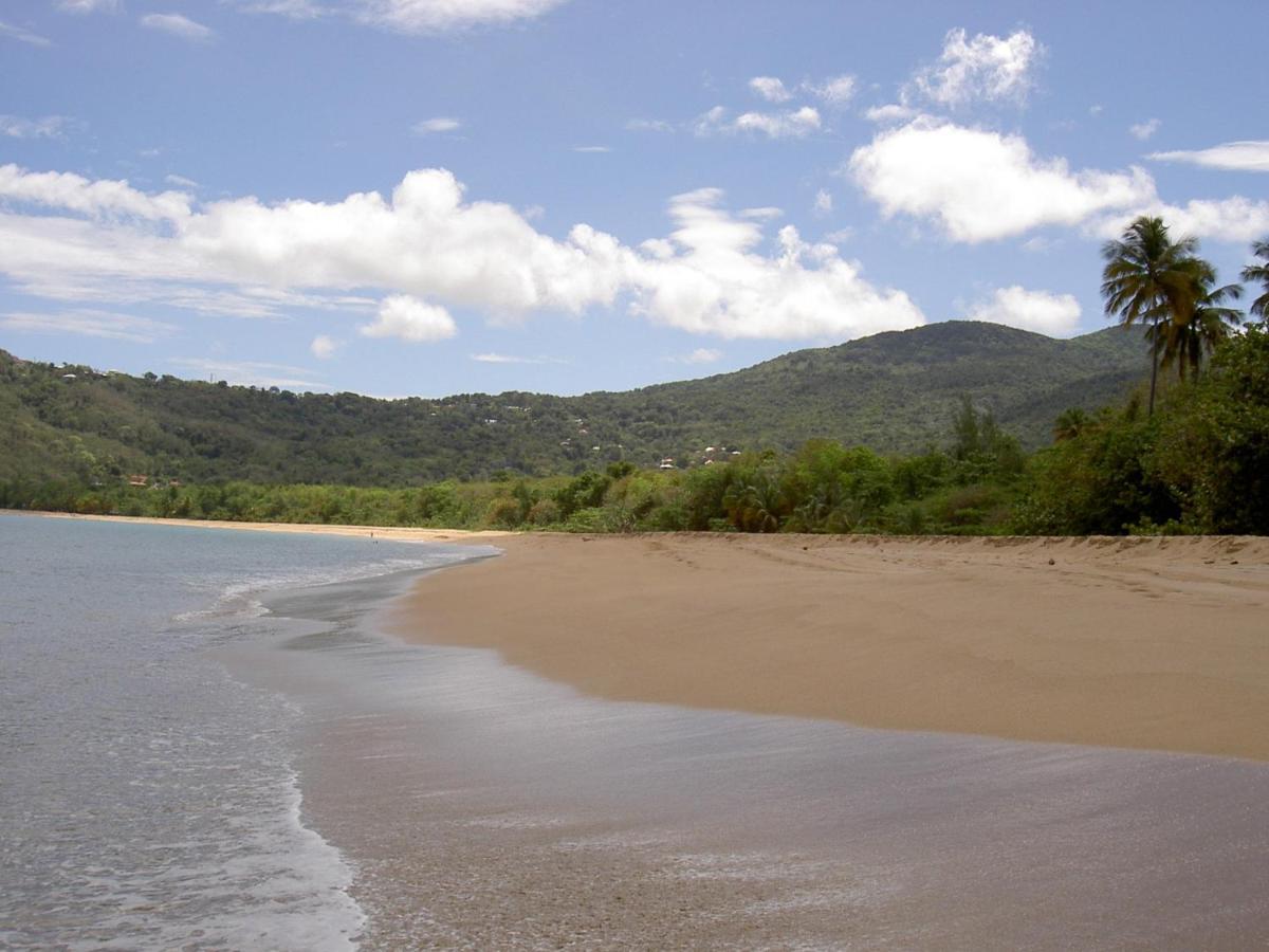 Villa Mielecajou, Entre Mer Et Montagne Deshaies Bagian luar foto